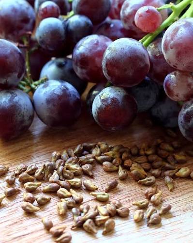 Grapeseed extract